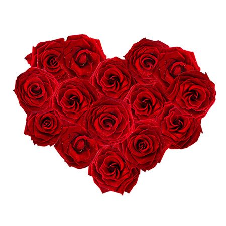 Coeur de roses rouge - Botanica Brussels