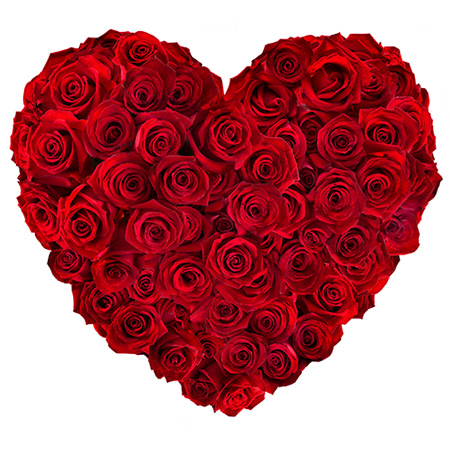 coeur roses rouges