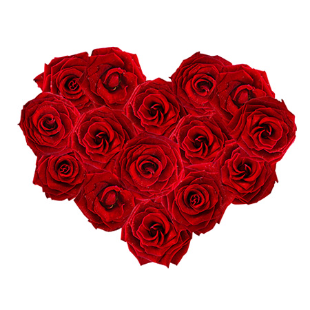 Coeur rouge Saint Valentin - Botanica Brussels
