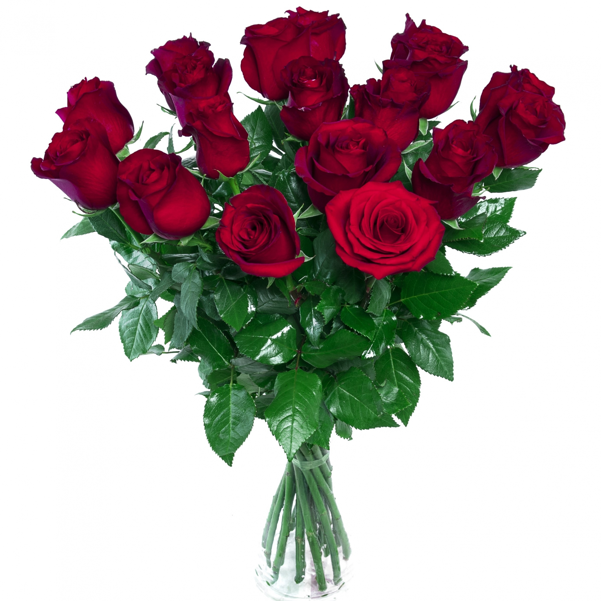 Bouquet de roses rouges - Botanica Brussels