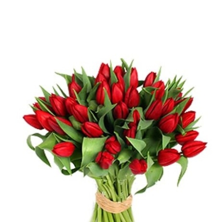 tulipes rouge livraison à domicile