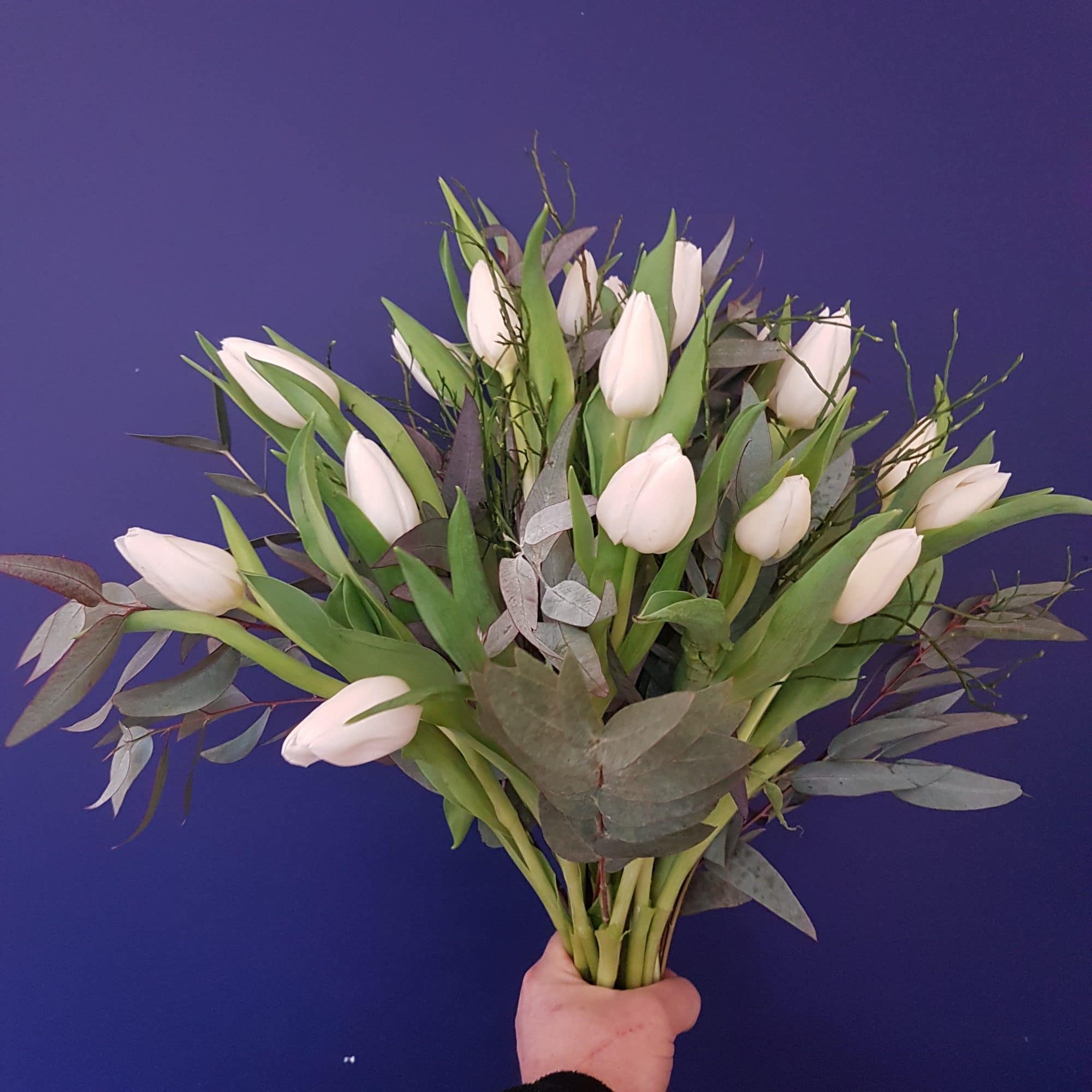 Tulipes blanche et rouge mélangées Saint Valentin ! - Botanica Brussels