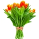 botanica livraison fleurs uccle bruxelles ixelles saint-gilles