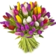 tulipes multicolores livraison bruxelles botanica fleuriste