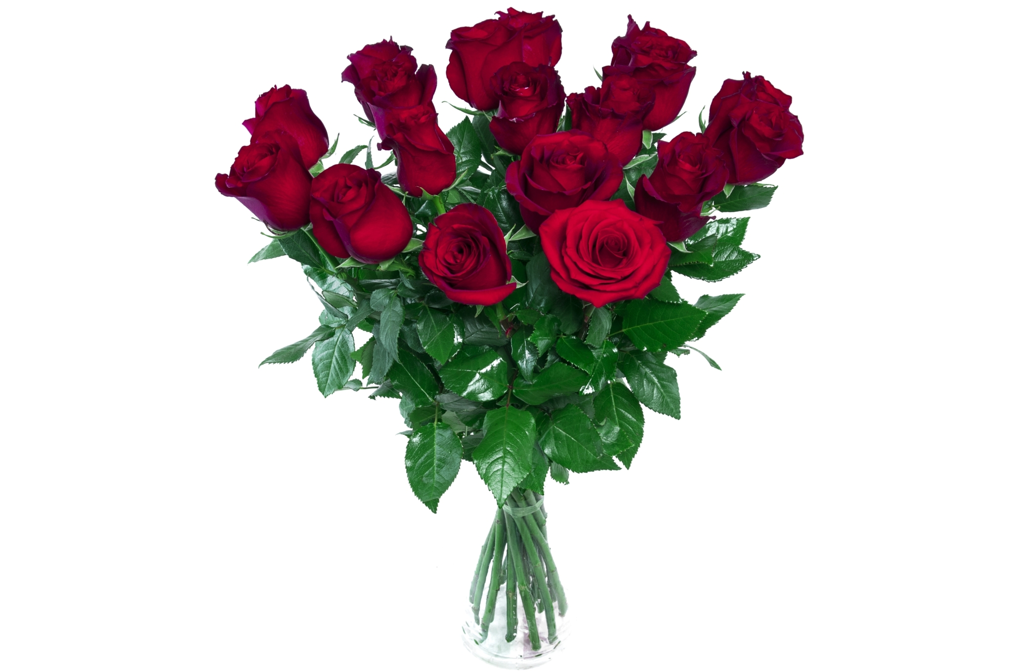Roses rouges Saint Valentin - Botanica Brussels
