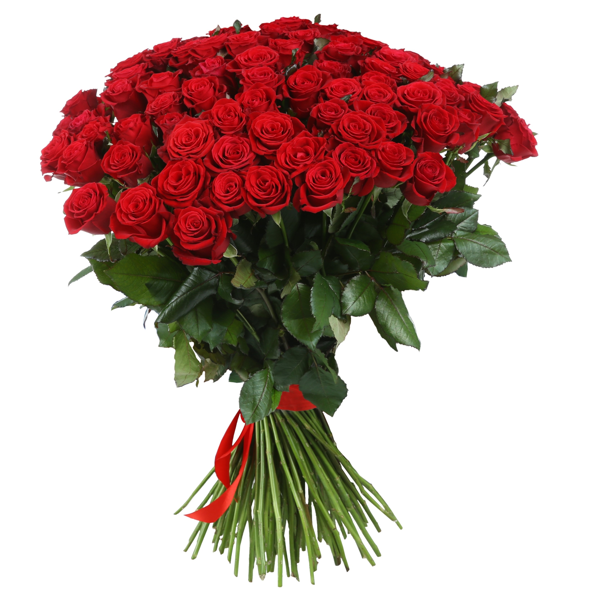 Roses rouges XL Saint Valentin - Botanica Brussels