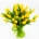 livraison tulipes jaunes bruxelles 1180 uccle ukkel brussel saint-gilles forest drogenbos anderlecht linkebeek sint-genius-rhode