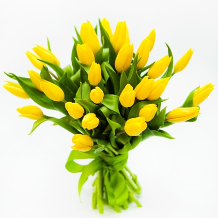 livraison tulipes jaunes bruxelles 1180 uccle ukkel brussel saint-gilles forest drogenbos anderlecht linkebeek sint-genius-rhode