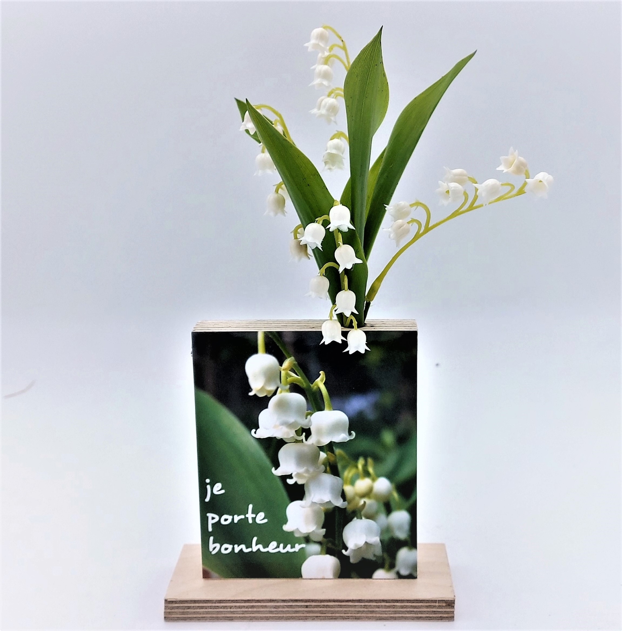 Image 1er Mai Muguet Porte Bonheur Vase 1er mai ' je porte Bonheur ' - Botanica Brussels