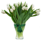 tulipes blanches avec son vase