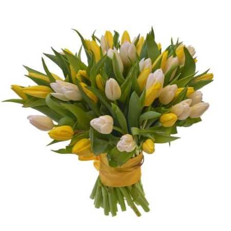 tulipes à offrir à Bruxelles