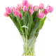 tulipes à offrir à uccle