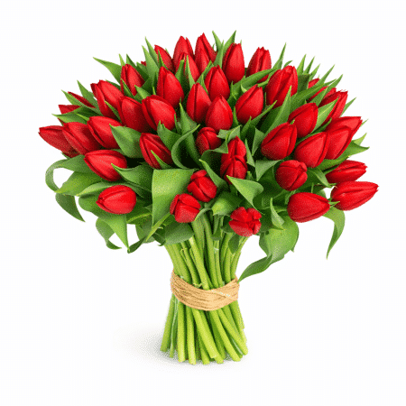 beau bouquet de tulipes rouges à Uccle