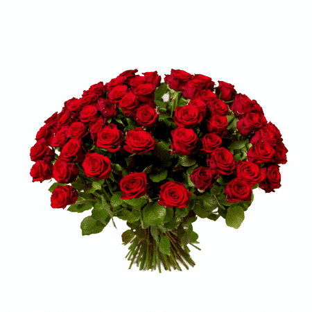 bouquet de belle roses rouges pour la saint valentin