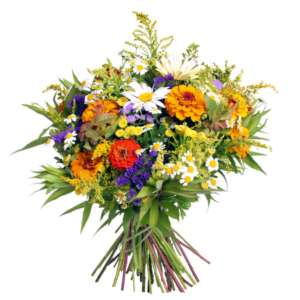 fleurs des champs à livrer à bruxelles par botanica votre fleuriste à uccle