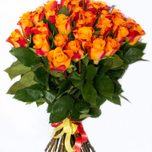 roses orange