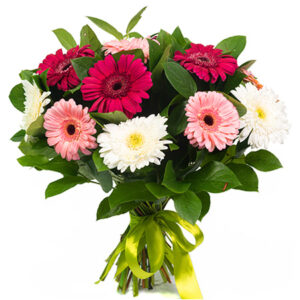 bouquet gerbera