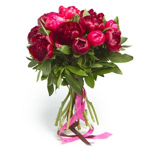 rouge comme pivoine