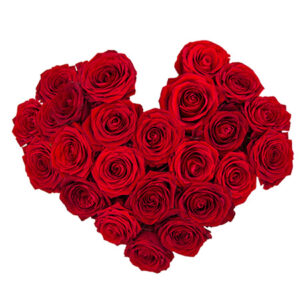 coeur rouge amour.jpg