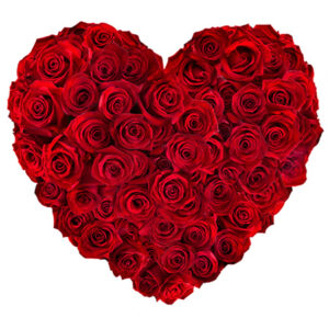coeur rouge prestige.jpg