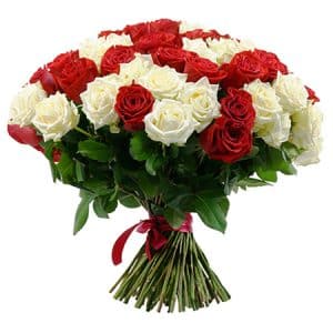 bouquet de rose rouge et blanche