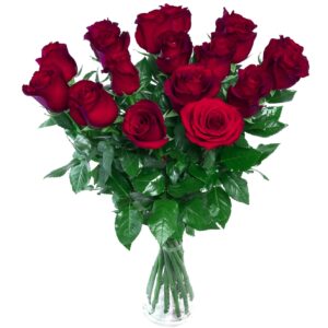 roses rouges