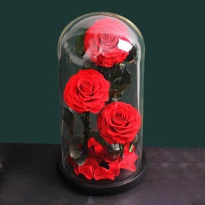 3 roses rouges éternelles sous globe